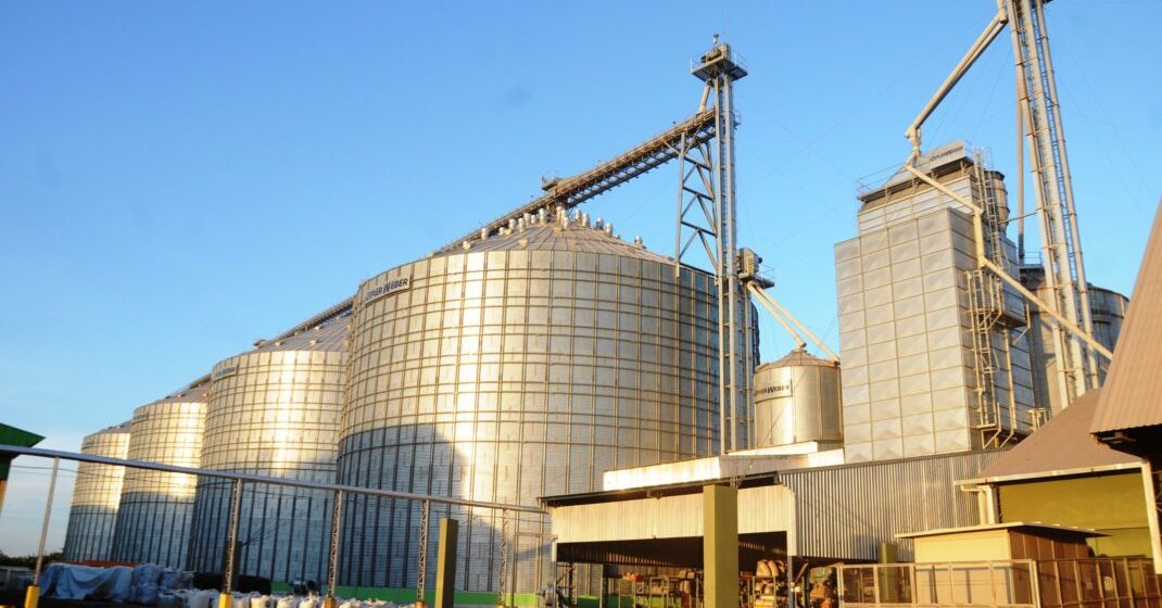 Milho atinge recorde de 89% nas exportações do Piauí