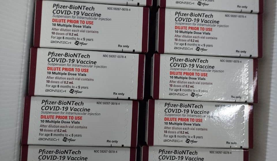 Piauí recebe 110 mil doses de vacina contra a Covid-19 para imunização de bebês e crianças