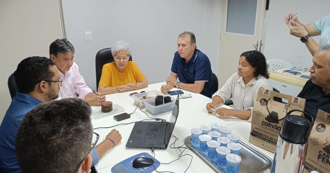 Ministro Wellington Dias e SASC tratam sobre reaproveitamento sustentável de resíduos do babaçu