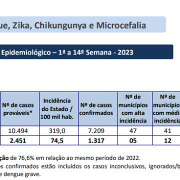 Piauí segue com redução de notificações de Dengue, Zika e Chikungunya