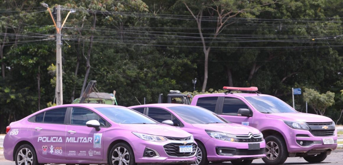 Protocolo de proteção às mulheres vítimas de violência entra em vigor no Piauí